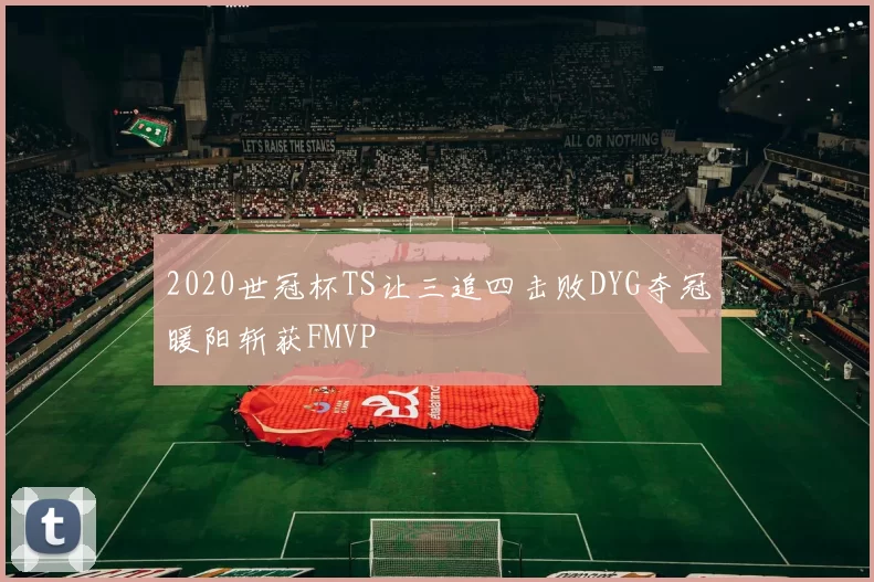 2020世冠杯TS让三追四击败DYG夺冠暖阳斩获FMVP